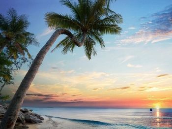 Outdoor Pictures 21