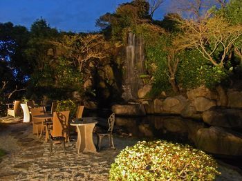 Outdoor Pictures 22