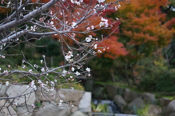 Outdoor Pictures 21