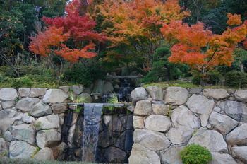 Outdoor Pictures 22
