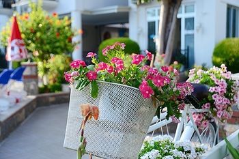 Outdoor Pictures 14