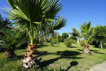 Outdoor Pictures 20