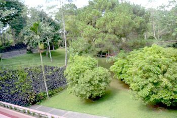 Outdoor Pictures 12