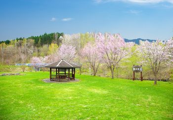 Outdoor Pictures 24