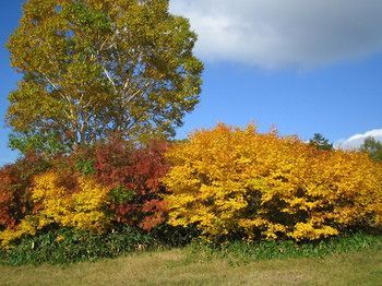 Outdoor Pictures 20
