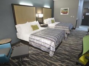 Hotel Image 5