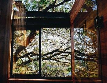 Synergy Treehouse (Pty) Ltd