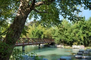Outdoor Pictures 22