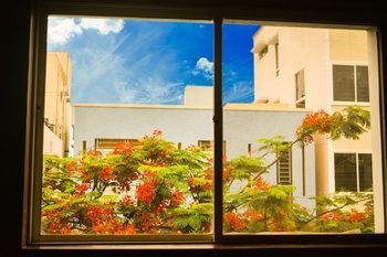 Outdoor Pictures 20