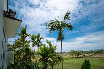Outdoor Pictures 20