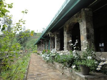 Outdoor Pictures 24