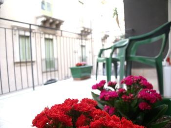 Outdoor Pictures 22