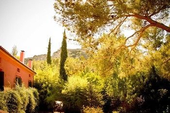 Outdoor Pictures 23