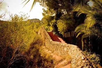 Outdoor Pictures 18