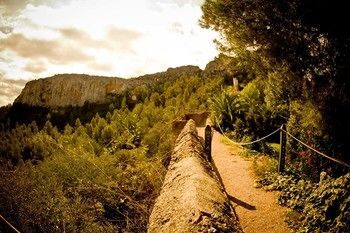 Outdoor Pictures 22