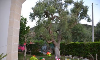 Outdoor Pictures 21