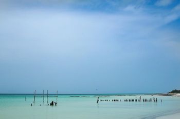 Outdoor Pictures 21