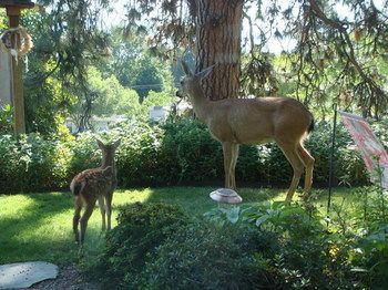 Outdoor Pictures 15
