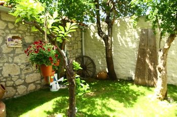 Outdoor Pictures 24