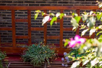 Outdoor Pictures 13