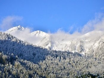 Outdoor Pictures 20