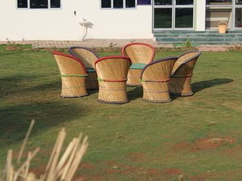 Outdoor Pictures 15