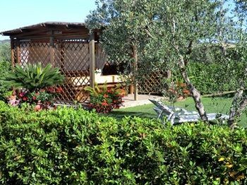 Outdoor Pictures 24