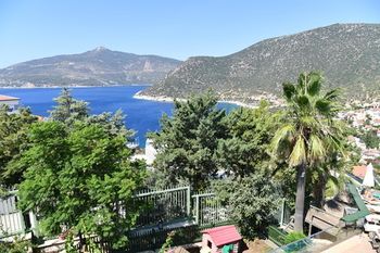 Outdoor Pictures 1
