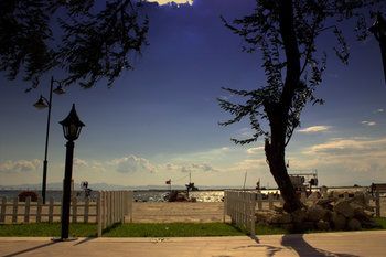 Outdoor Pictures 24