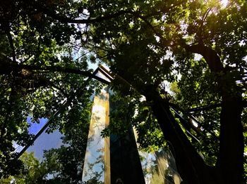 Outdoor Pictures 24