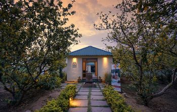Outdoor Pictures 24