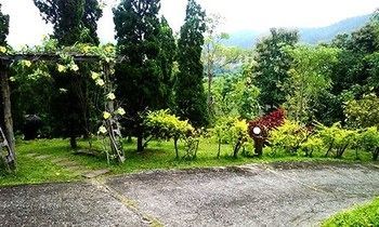 Outdoor Pictures 7