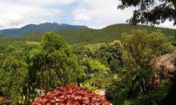 Outdoor Pictures 10