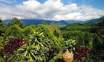 Outdoor Pictures 13