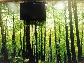 Outdoor Pictures 16
