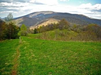 Outdoor Pictures 10