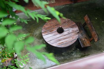 Outdoor Pictures 21