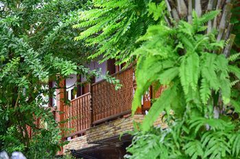 Outdoor Pictures 23