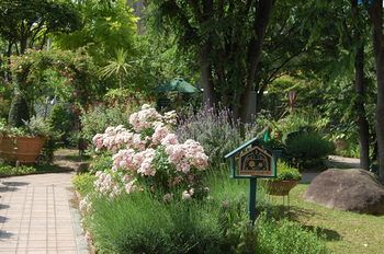 Outdoor Pictures 20