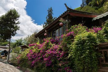 Outdoor Pictures 20
