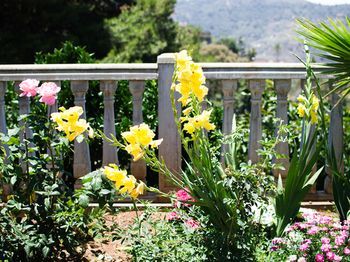 Outdoor Pictures 22