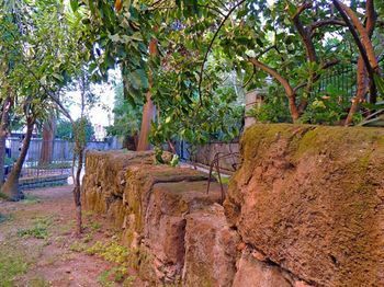 Outdoor Pictures 21