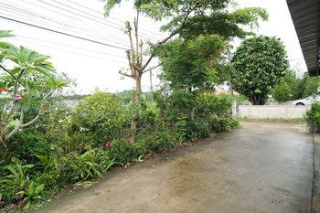 Outdoor Pictures 21
