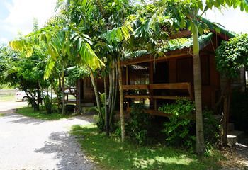 Outdoor Pictures 8
