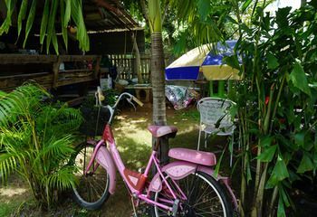Outdoor Pictures 23