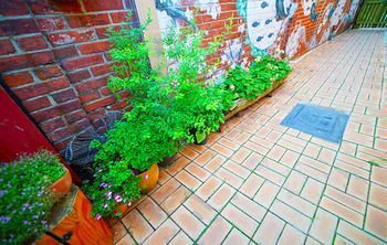 Outdoor Pictures 16