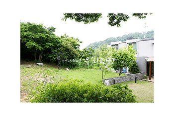 Outdoor Pictures 21
