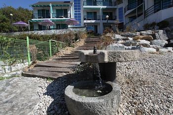 Outdoor Pictures 15