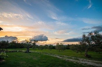 Outdoor Pictures 21
