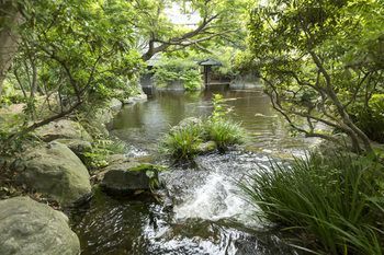 Outdoor Pictures 24